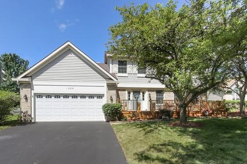1382 Northgate Dr, Bartlett, IL 60103 photo 1
