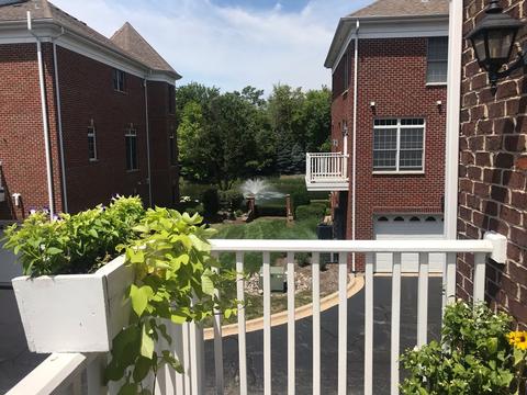 111 Spring Ave, Naperville, IL 60540 photo 7