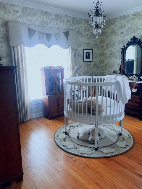 111 Spring Ave, Naperville, IL 60540 photo 9