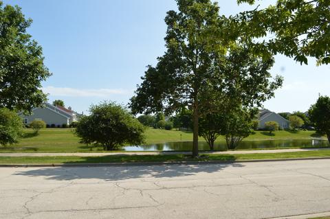 235 Springside Dr, Elgin, IL 60124 photo 31