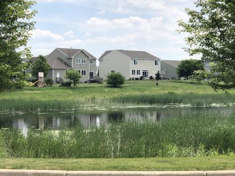 256 Cassidy Ln, Elgin, IL 60124 photo 42