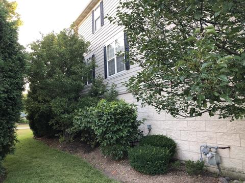 256 Cassidy Ln, Elgin, IL 60124 photo 40