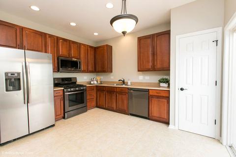 256 Cassidy Ln, Elgin, IL 60124 photo 15