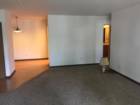 238 Bailey Rd #F, Naperville, IL 60565 photo 4