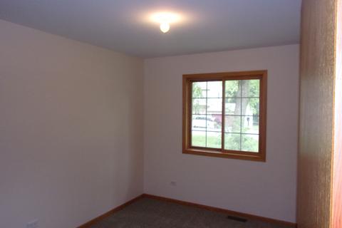 209 Kohl Ave, Spring Grove, IL 60081 photo 11