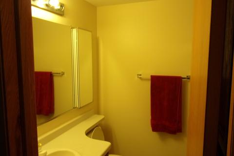 209 Kohl Ave, Spring Grove, IL 60081 photo 16