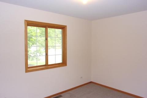 209 Kohl Ave, Spring Grove, IL 60081 photo 12