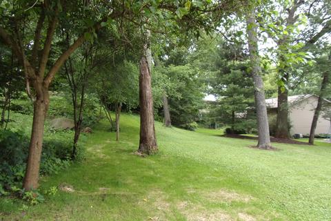 209 Kohl Ave, Spring Grove, IL 60081 photo 19