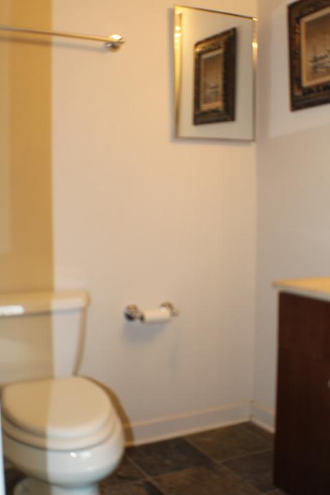 741 E 36th St, Chicago, IL 60653 photo 19