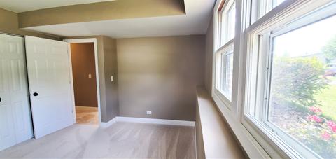 1615 Chesapeake Dr, Hoffman Estates, IL 60195 photo 41