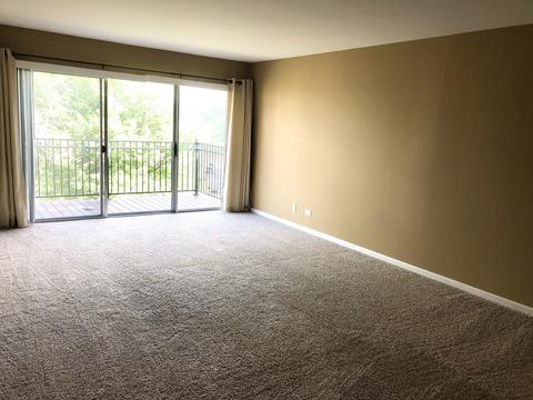 5200 Carriageway Dr #304, Rolling Meadows, IL 60008 photo 3