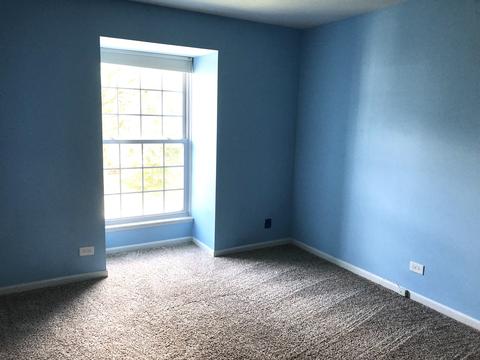 5200 Carriageway Dr #304, Rolling Meadows, IL 60008 photo 7