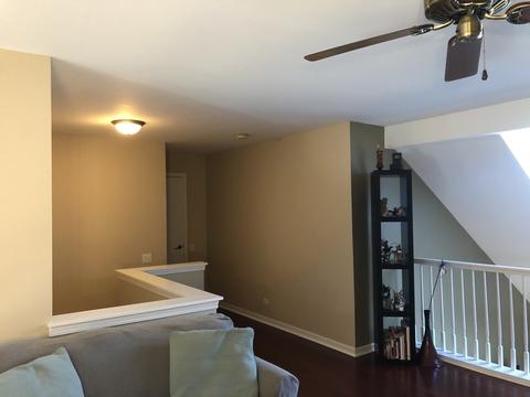 4602 Burnham Dr, Hoffman Estates, IL 60192 photo 13