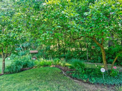 2655 E 1559th Rd, Ottawa, IL 61350 photo 48