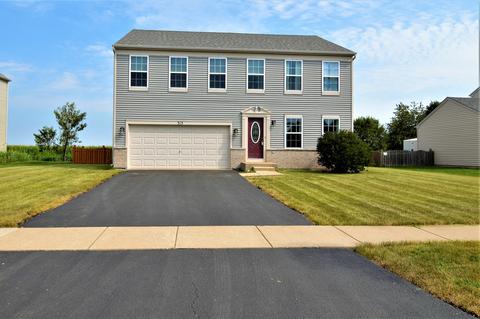 313 Aster Dr, Minooka, IL 60447 photo 1