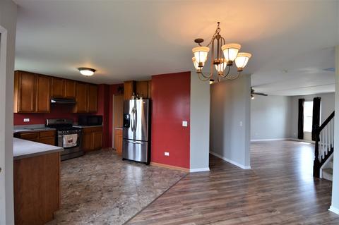 313 Aster Dr, Minooka, IL 60447 photo 6