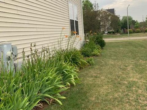 11332 Champion Ct, Plainfield, IL 60585 photo 32