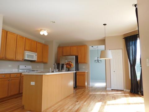 11332 Champion Ct, Plainfield, IL 60585 photo 8