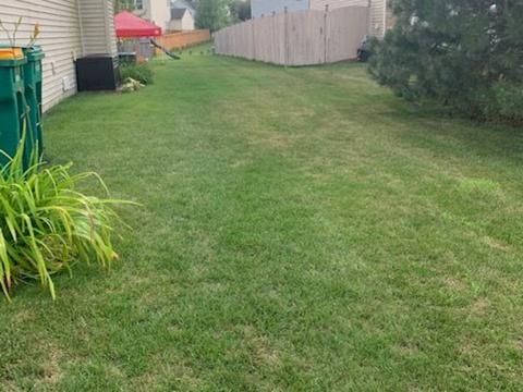11332 Champion Ct, Plainfield, IL 60585 photo 35