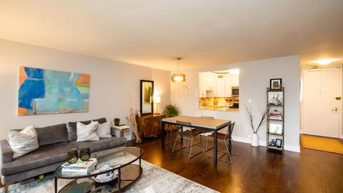 100 E Walton St #19E, Chicago, IL 60611 photo 4