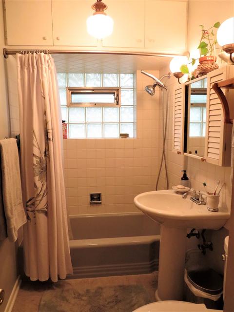 420 Vassar Ln, Des Plaines, IL 60016 photo 15