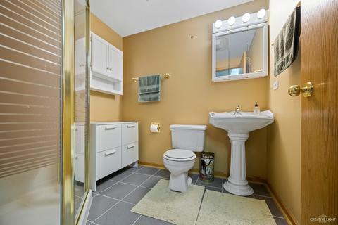 13701 S Tamarack Dr, Plainfield, IL 60544 photo 18