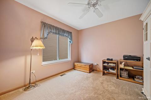 13701 S Tamarack Dr, Plainfield, IL 60544 photo 11