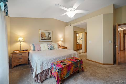 13701 S Tamarack Dr, Plainfield, IL 60544 photo 9