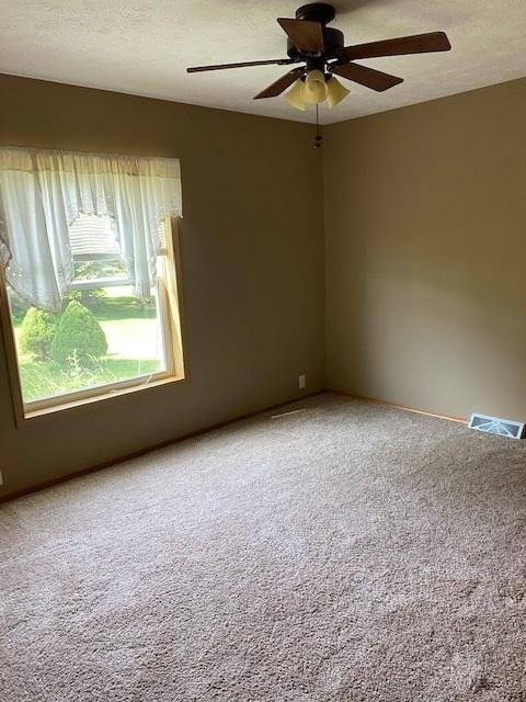10816 N Leaf River Rd, Leaf River, IL 61047 photo 13