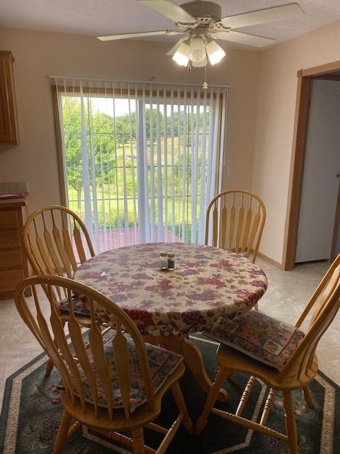 10816 N Leaf River Rd, Leaf River, IL 61047 photo 9
