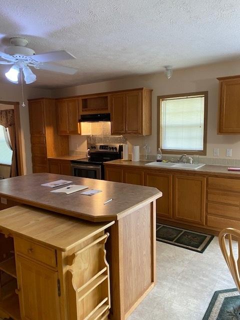 10816 N Leaf River Rd, Leaf River, IL 61047 photo 8