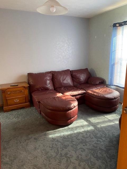 10816 N Leaf River Rd, Leaf River, IL 61047 photo 4