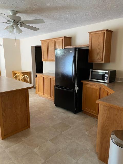 10816 N Leaf River Rd, Leaf River, IL 61047 photo 6