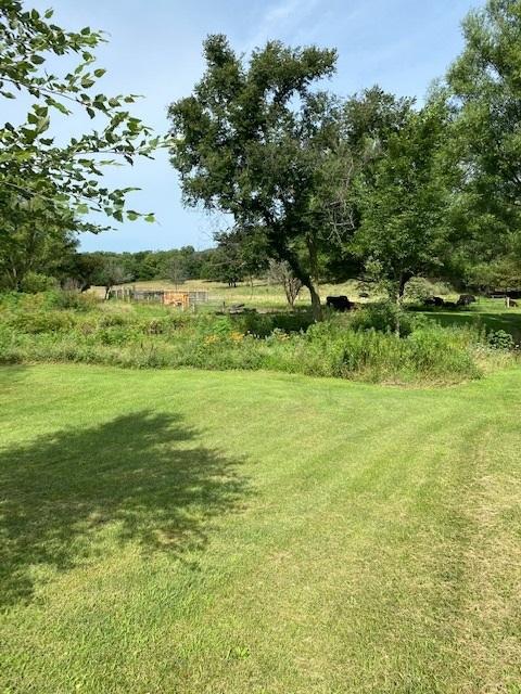 10816 N Leaf River Rd, Leaf River, IL 61047 photo 26