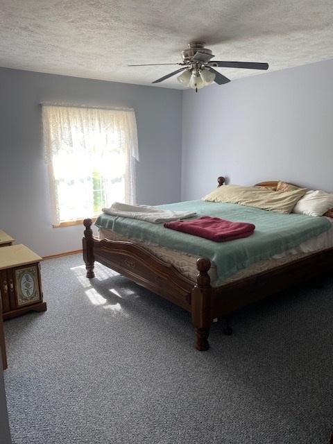 10816 N Leaf River Rd, Leaf River, IL 61047 photo 14