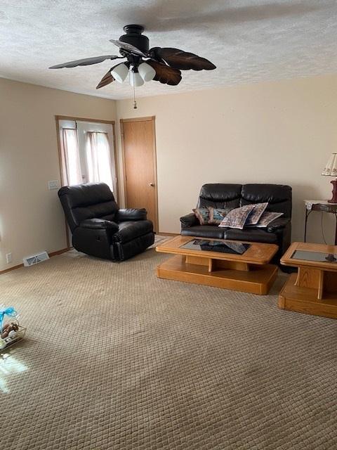 10816 N Leaf River Rd, Leaf River, IL 61047 photo 2