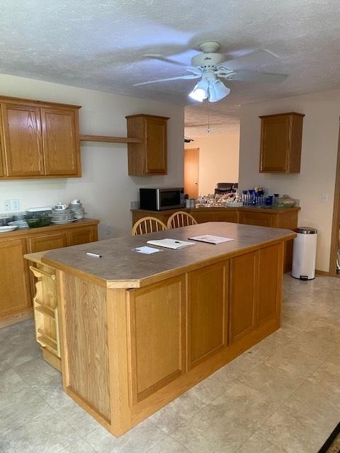 10816 N Leaf River Rd, Leaf River, IL 61047 photo 5