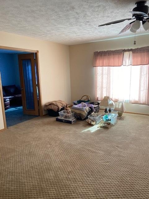 10816 N Leaf River Rd, Leaf River, IL 61047 photo 3
