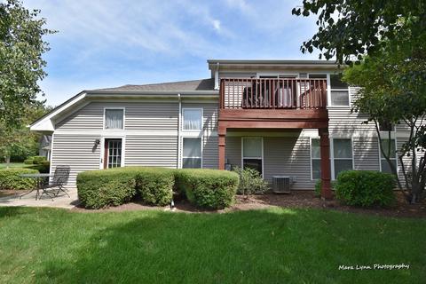 2132 Peach Tree Ln, Algonquin, IL 60102 photo 31