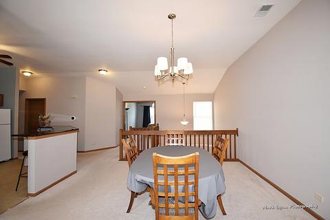 2132 Peach Tree Ln, Algonquin, IL 60102 photo 14