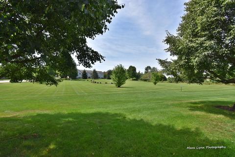 2132 Peach Tree Ln, Algonquin, IL 60102 photo 32