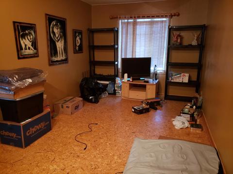7707 Thomas Ave, Bridgeview, IL 60455 photo 9