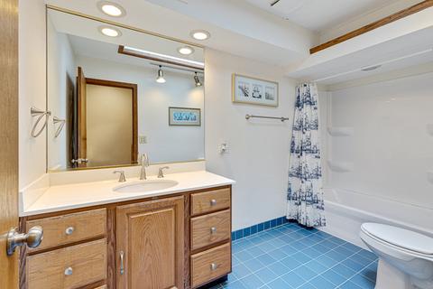 303 Clinton Ct, Wheaton, IL 60187 photo 20