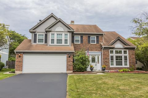 398 Wildberry Ln, Bartlett, IL 60103 photo 1