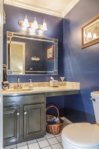 398 Wildberry Ln, Bartlett, IL 60103 photo 8