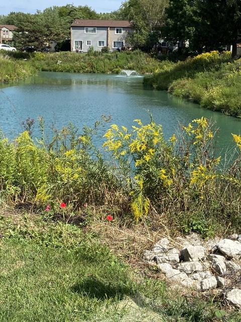 697 Lakeside Circle Dr, Wheeling, IL 60090 photo 20