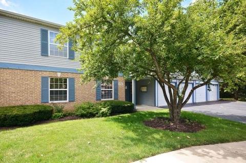 992 Langtry Ct #C, Elgin, IL 60120 photo 1