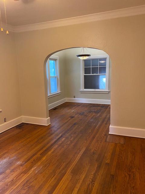 405 N Carson Ave, Champaign, IL 61821 photo 6