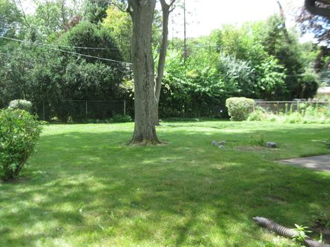 2015 E Cayuga Ln, Mount Prospect, IL 60056 photo 2