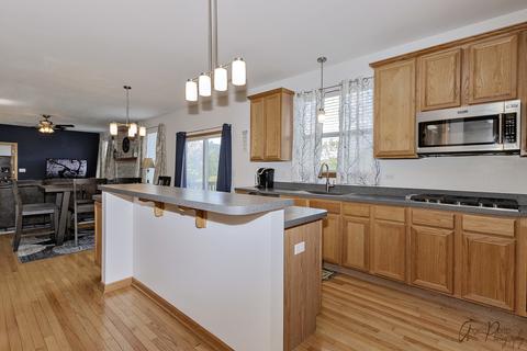 4 Lake Cornish Ct, Algonquin, IL 60102 photo 28